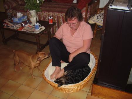 Sylvanie dans le panier du chien